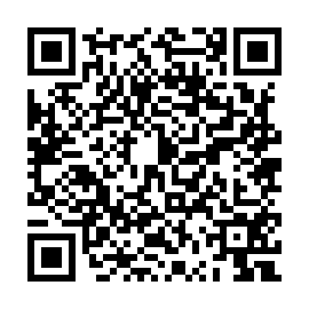 QR code for ZVZ9543
