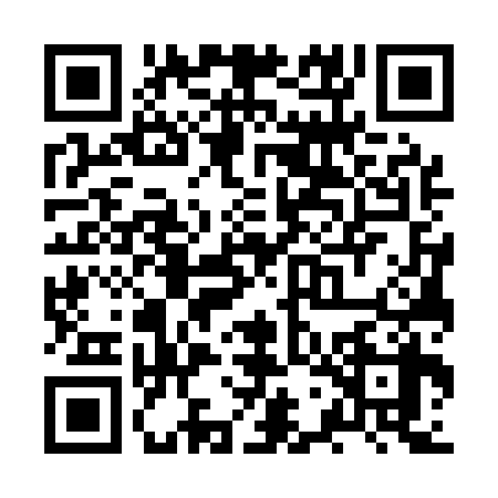 QR code for ZWG1381