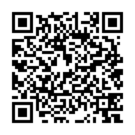 QR code for ZWG6380