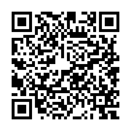 QR code for ZWN9173