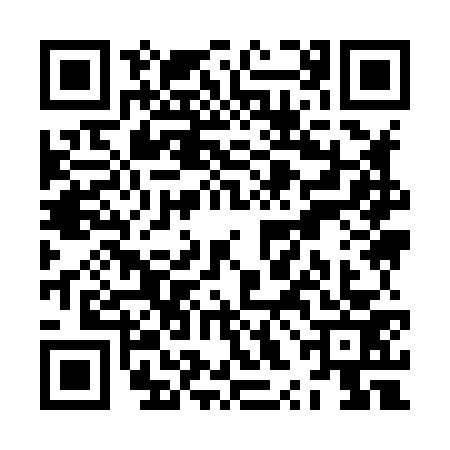 QR code for ZXI8738