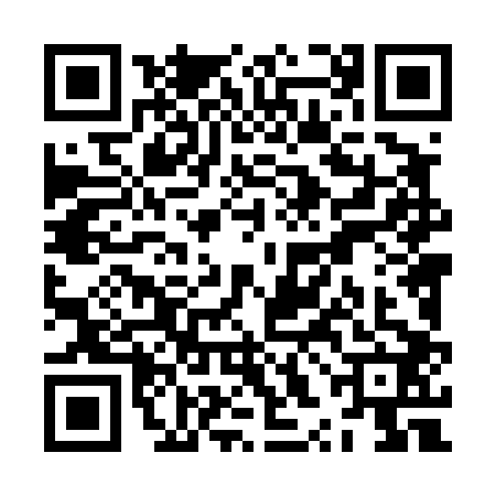 QR code for ZXL4028