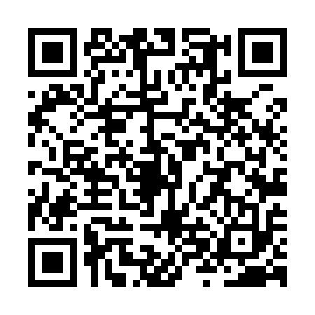 QR code for ZXL9133
