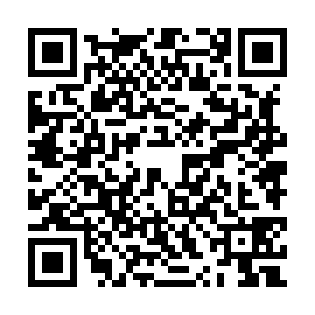 QR code for ZXN8384