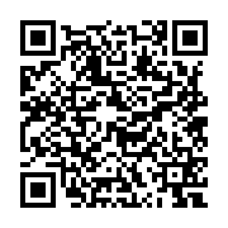 QR code for ZXR9613