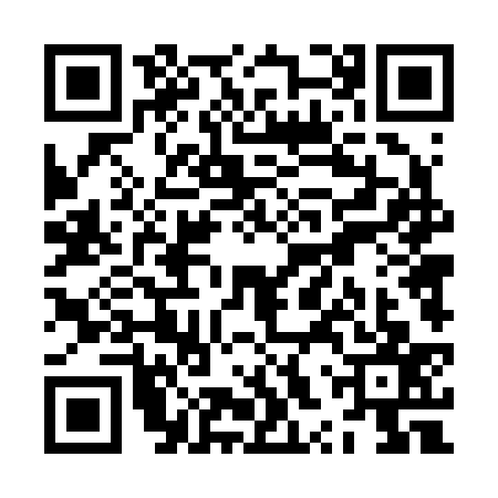 QR code for ZXT2370
