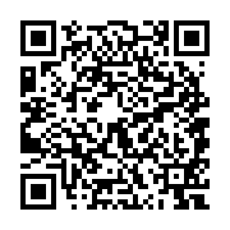 QR code for ZXV2919