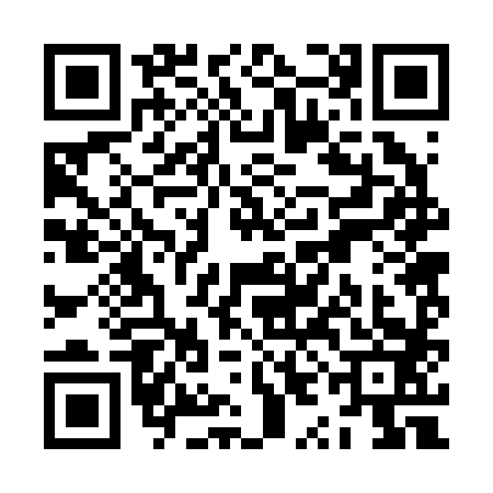 QR code for ZYB2833