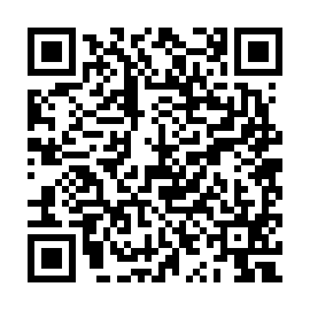 QR code for ZYB6955