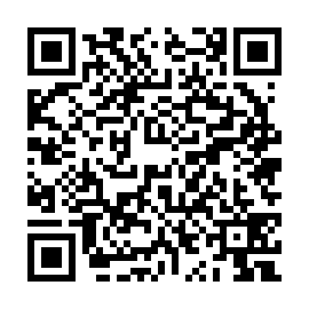 QR code for ZYE2392