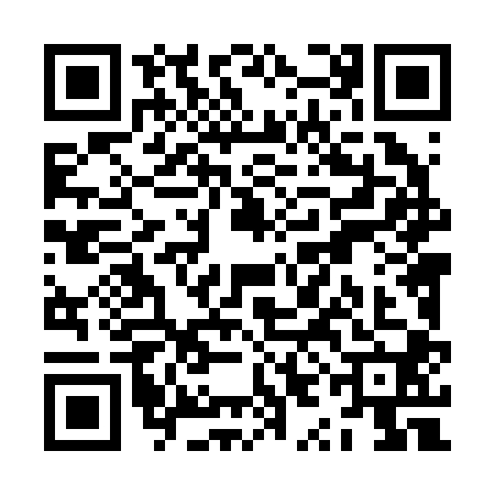 QR code for ZYL2003