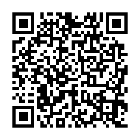 QR code for ZYP3919