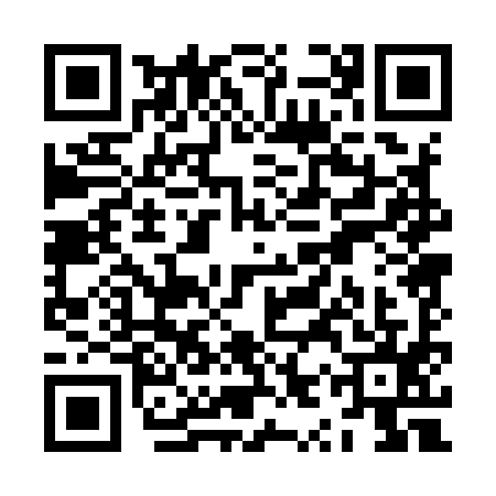 QR code for ZYP9958