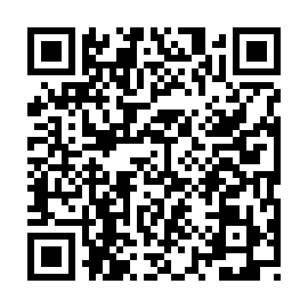 QR code for ZYY7995