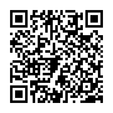 QR code for ZYZ1355