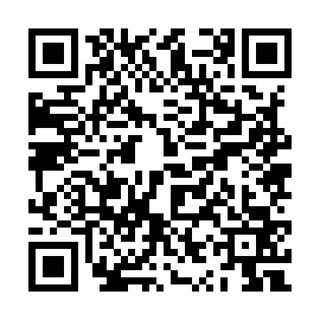 QR code for ZYZ9638