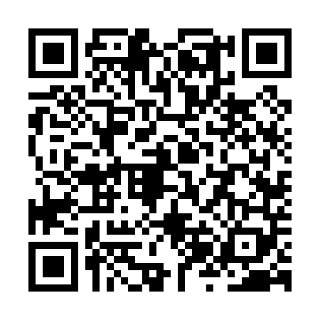 QR code for ZZF0493