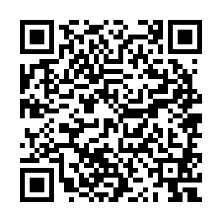 QR code for ZZJ2809