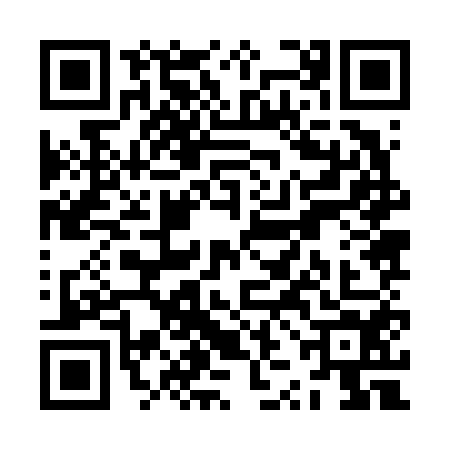 QR code for ZZJ6546