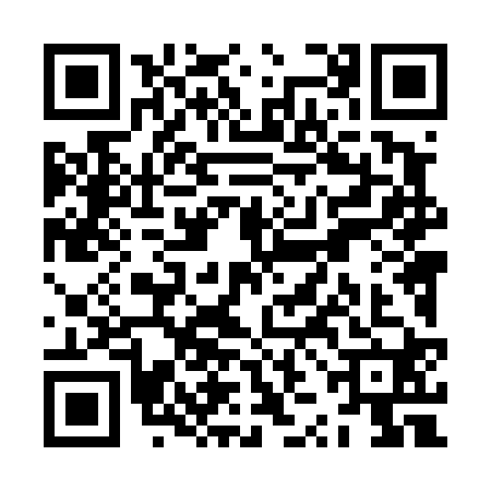 QR code for ZZL4201