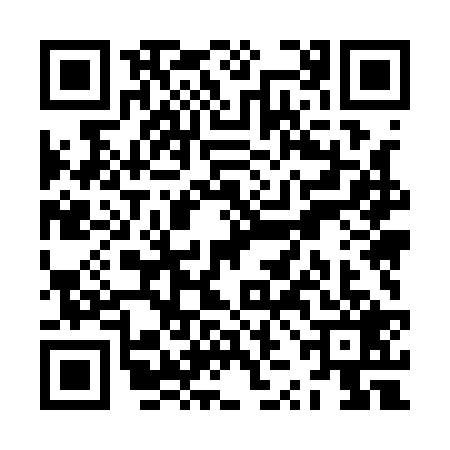 QR code for ZZM1291