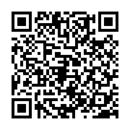 QR code for ZZO0795