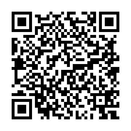 QR code for ZZP8198