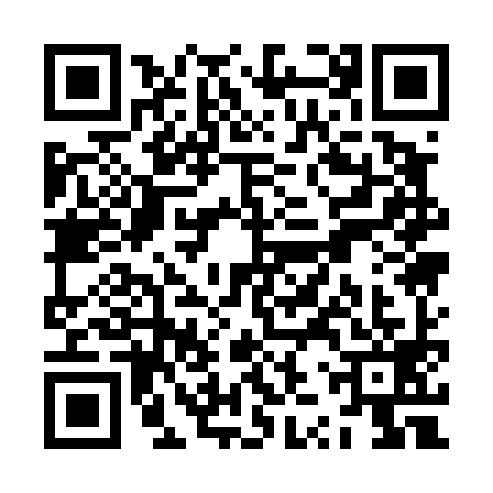 QR code for ZZQ4999
