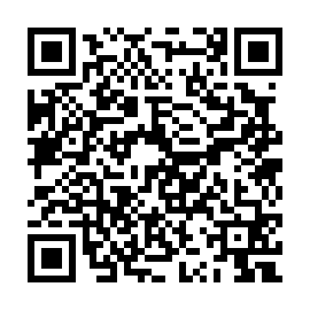 QR code for ZZS0603