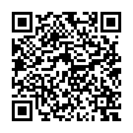 QR code for ZZS1273
