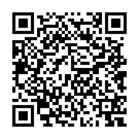 QR code for ZZT5209