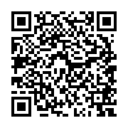 QR code for ZZT6482