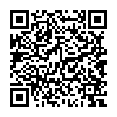 QR code for ZZT8036