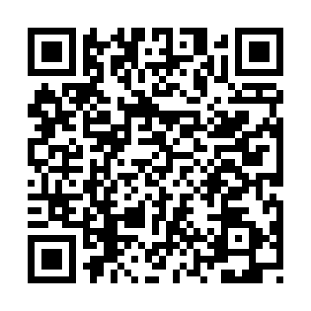 QR code for ZZX4920