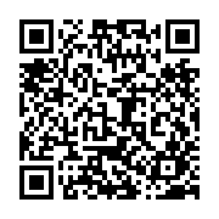 QR code for 007NIN