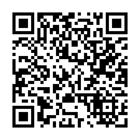 QR code for 008IVI