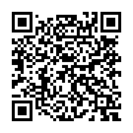 QR code for 009LZP