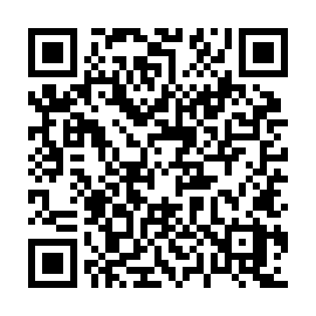 QR code for 009ZLX