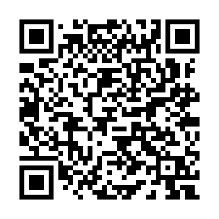 QR code for 013YAP