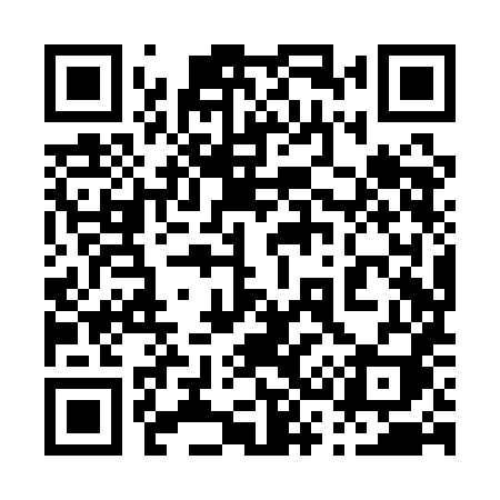 QR code for 038QHI