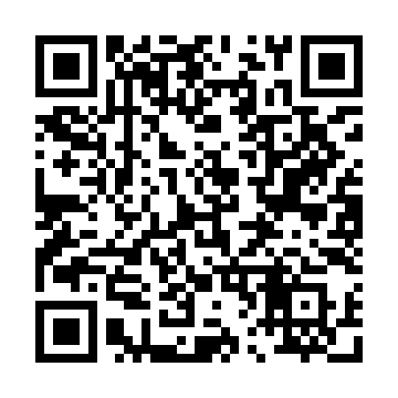 QR code for 063IIS