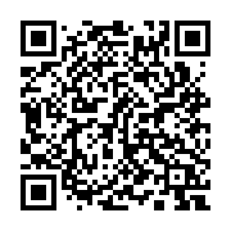 QR code for 113CTP