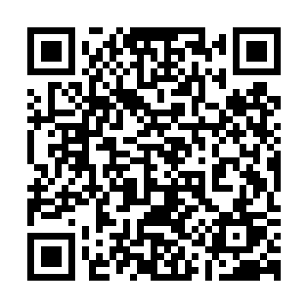 QR code for 119DST
