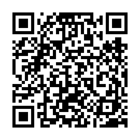 QR code for 119FFH
