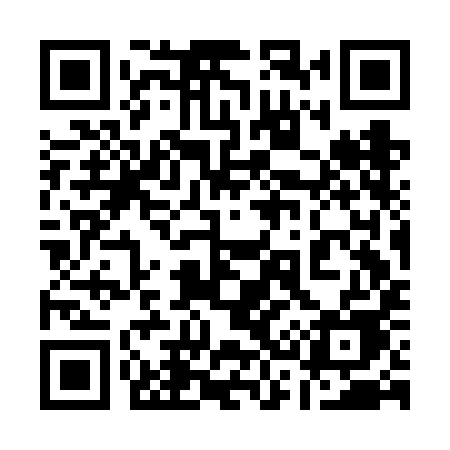QR code for 133FIE