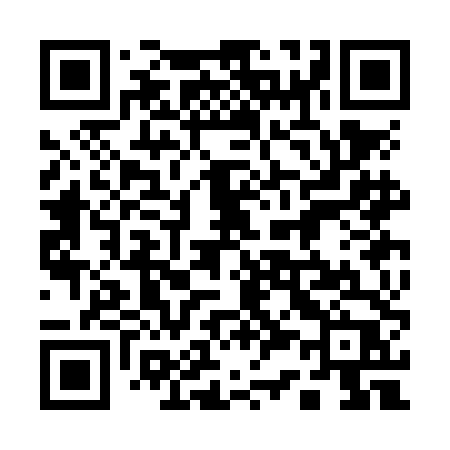 QR code for 133NDP