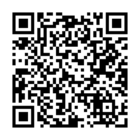 QR code for 161ILU