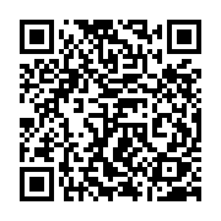 QR code for 161MEX