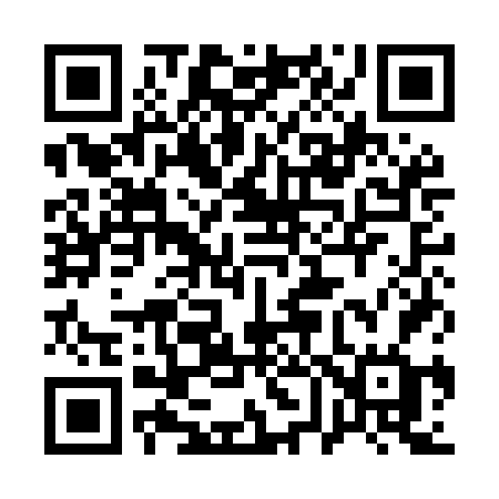 QR code for 161MFG