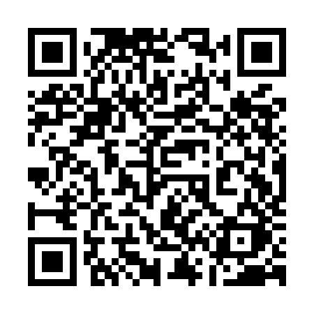 QR code for 161MJK